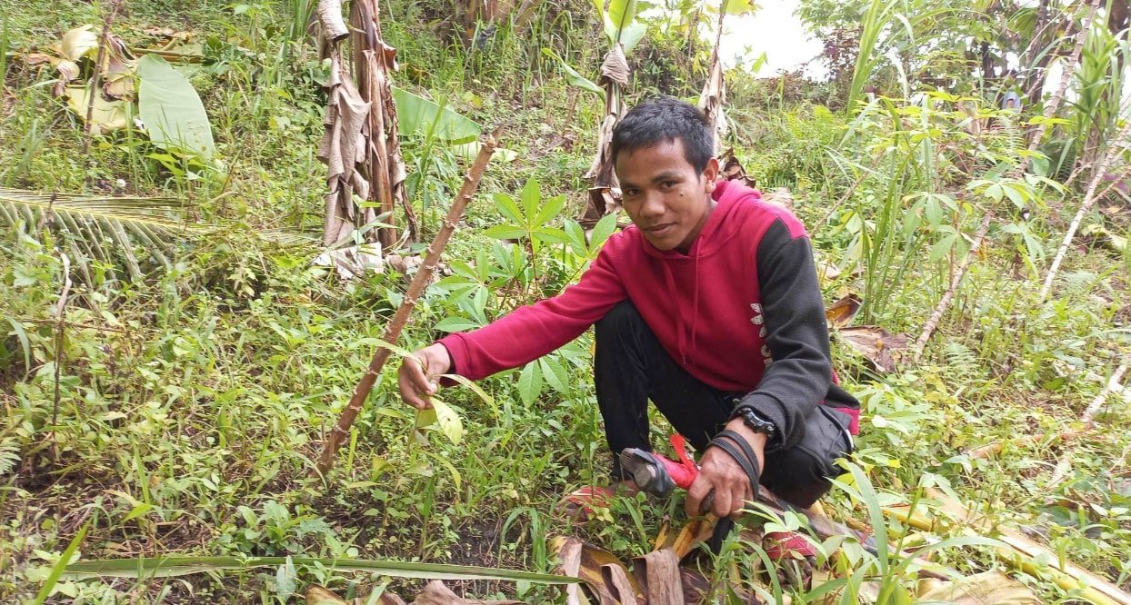 Creating a carbon sink in Davao: Therma South Inc. plants 1M trees