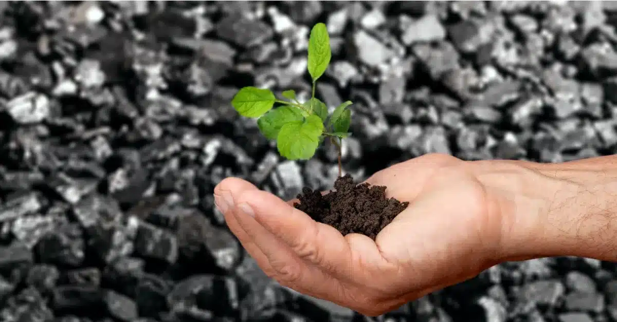 Coal & Renewables: Rivals or Partners in Transition? 1 Coal & Renewables Rivals or Partners in Transition