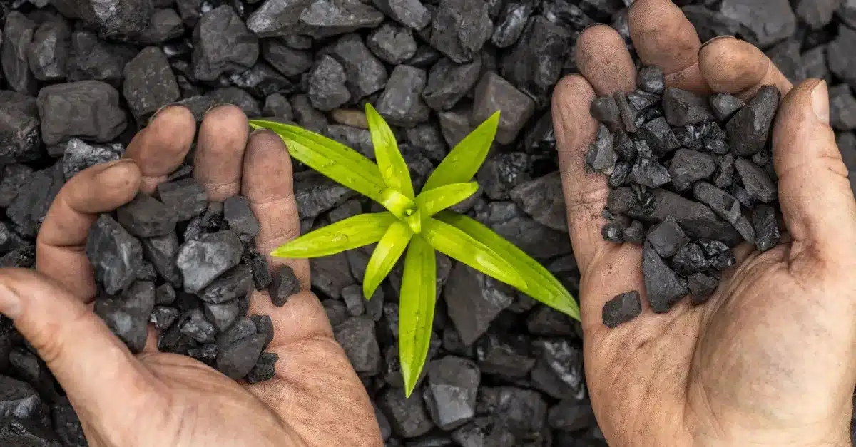 Local Climate Defenders Urge RCBC To Cut Coal Ties 3 Local Climate Defenders Urge RCBC To Cut Coal Ties