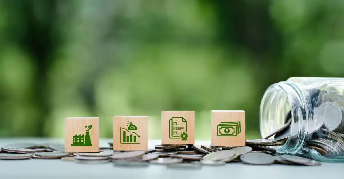 Net Zero Is Not Zero Cost