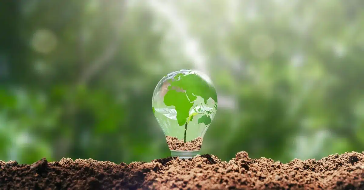 Southeast Asia Races Toward Solar Wind Integration, Yet Hard Realities Remain