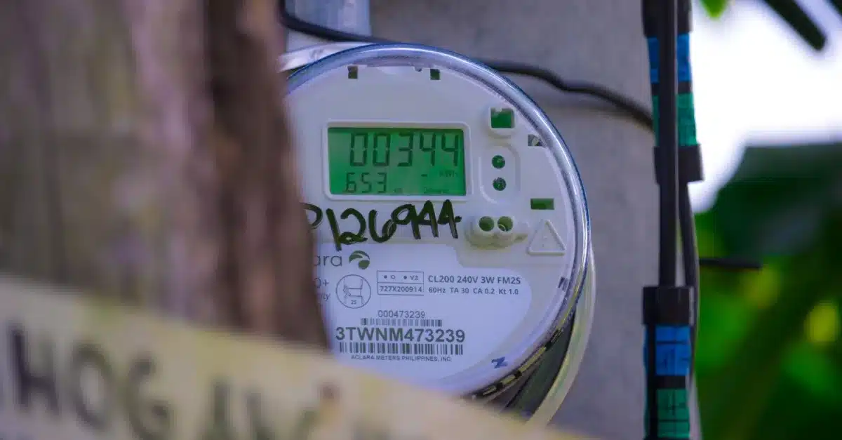 Davao Light Prepares for Transition Amid Court Delay 5 Davao Light Prepares for Transition Amid Court Delay