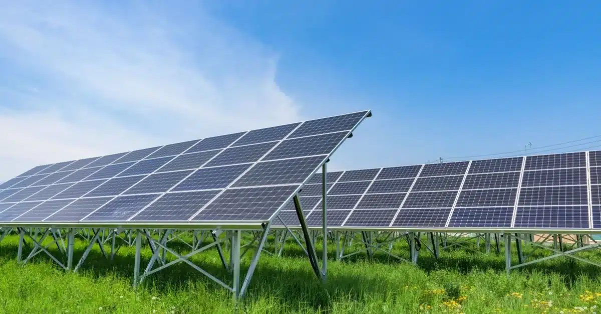 Leviste Resigns From Solar Firm Boards As Largest PH Solar Project Nears Operations 3 Leviste Resigns From Solar Firm Boards As Largest PH Solar Project Nears Operations