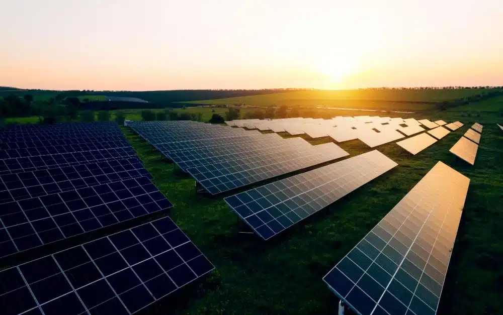 Solar Philippines' Projects Could Have Cut Electricity Price By Half, Says DOE 4 Solar Philippines' Projects Could Have Cut Electricity Price By Half, Says DOE