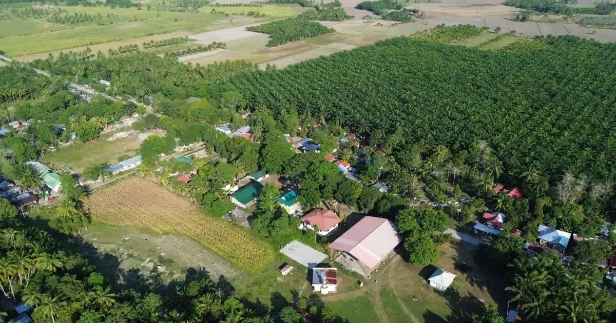 BARMM’s Energy System Under Pressure and Reform