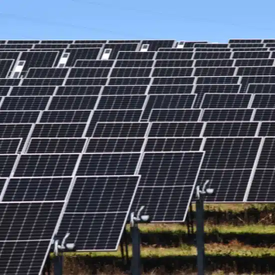 Leviste Further Cuts SPNEC Stake As Scrutiny Over Solar Ventures Intensifies