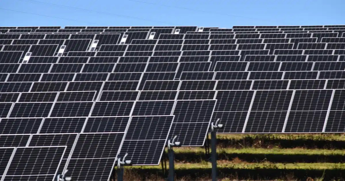 Leviste Further Cuts SPNEC Stake As Scrutiny Over Solar Ventures Intensifies 2 Leviste Further Cuts SPNEC Stake As Scrutiny Over Solar Ventures Intensifies